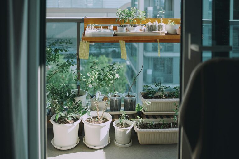 Consejos prácticos para crear un jardín urbano en espacios pequeños